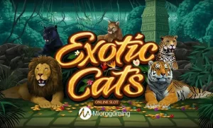 exotic cats slot review