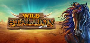 Wild Stallion Slot Review