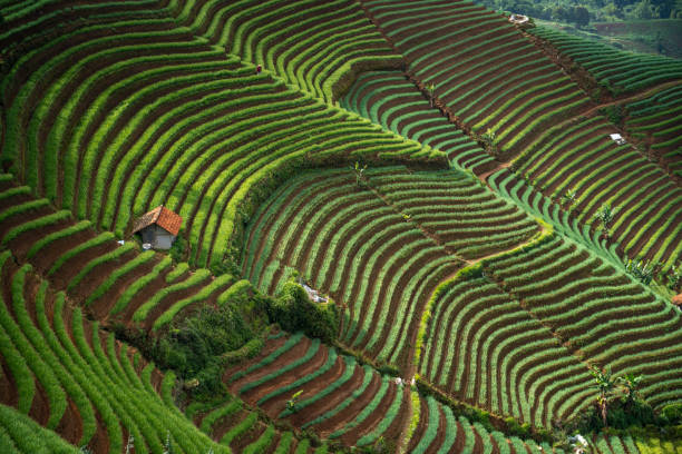 Wisata Baru Di Majalengka